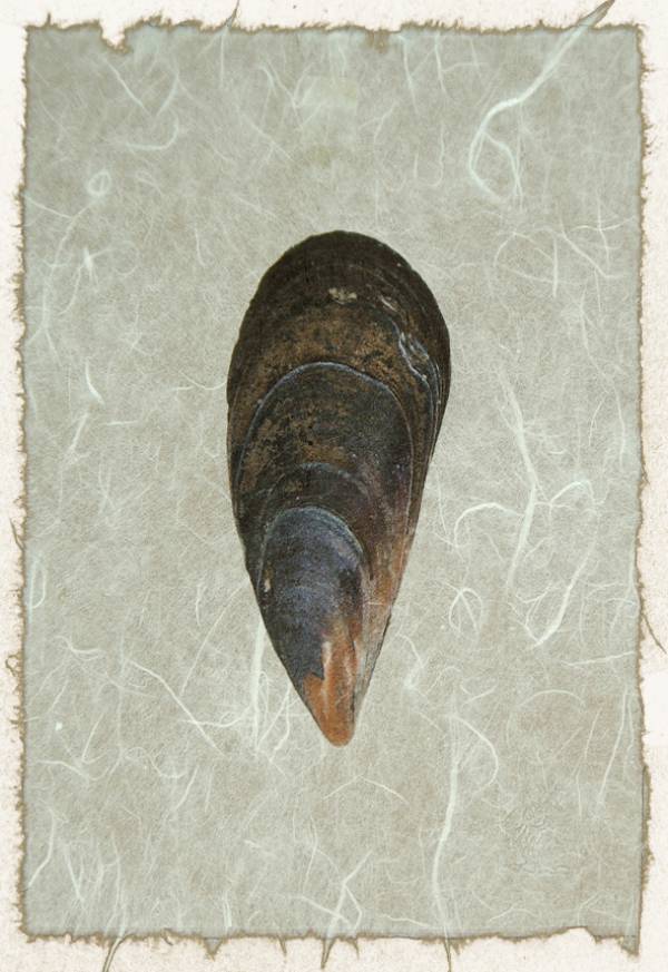 - on , Print by Forbes Art, measuring 19 x 15 cm (H x W) framed at 32 x 27 cm £28
